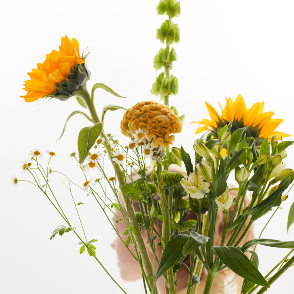 Дизайн без названия – 2025-05-22T133651.872 Дизайн без названия – 2025-05-22T133651.872