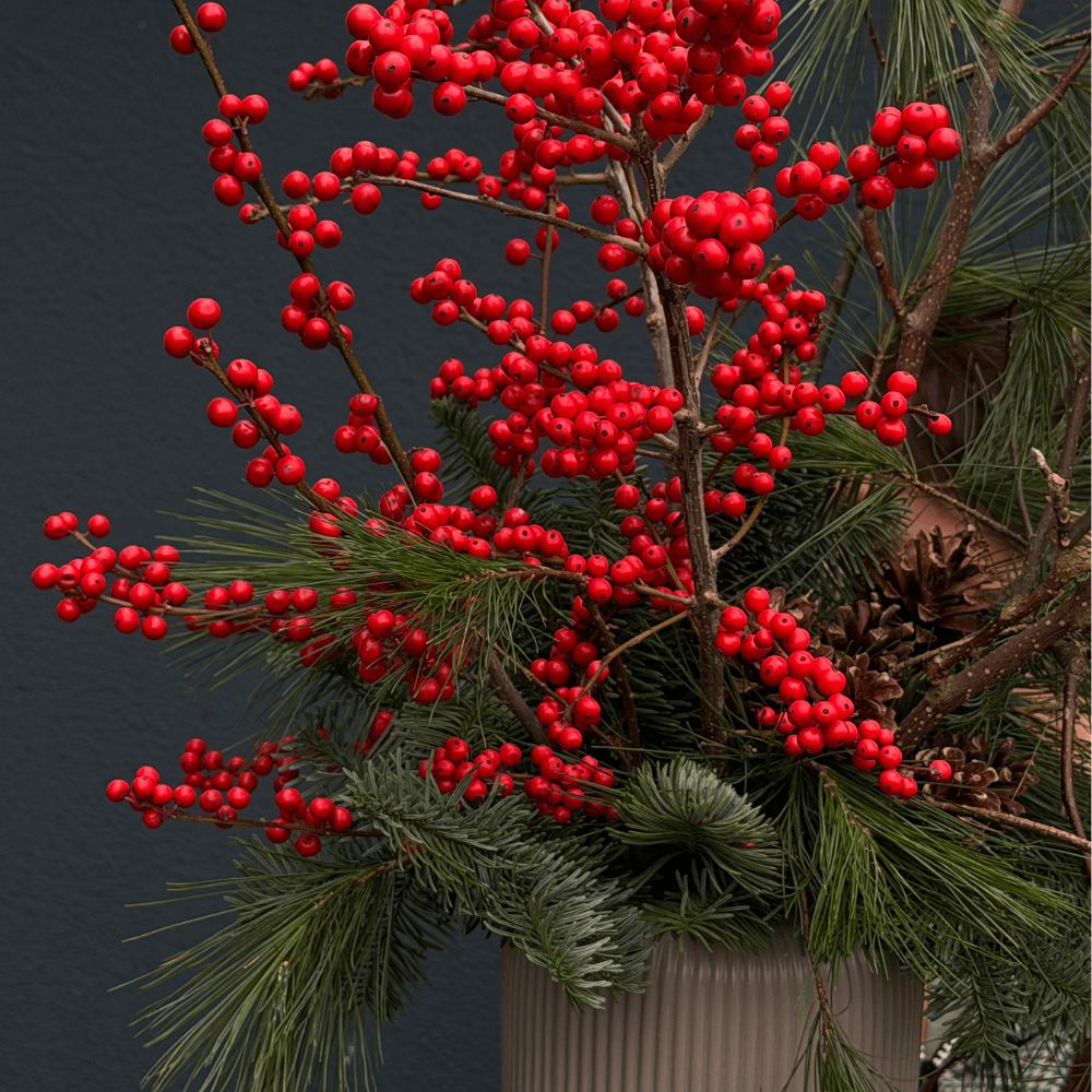 Дизайн без названия – 2025-12-07T201118.081-min (1) Дизайн без названия – 2025-12-07T201118.081-min (1)