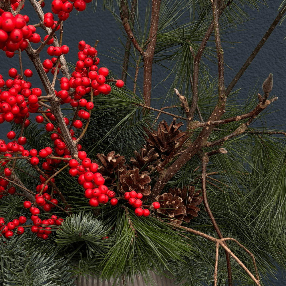 Дизайн без названия – 2025-12-07T201223.322-min (1) Дизайн без названия – 2025-12-07T201223.322-min (1)