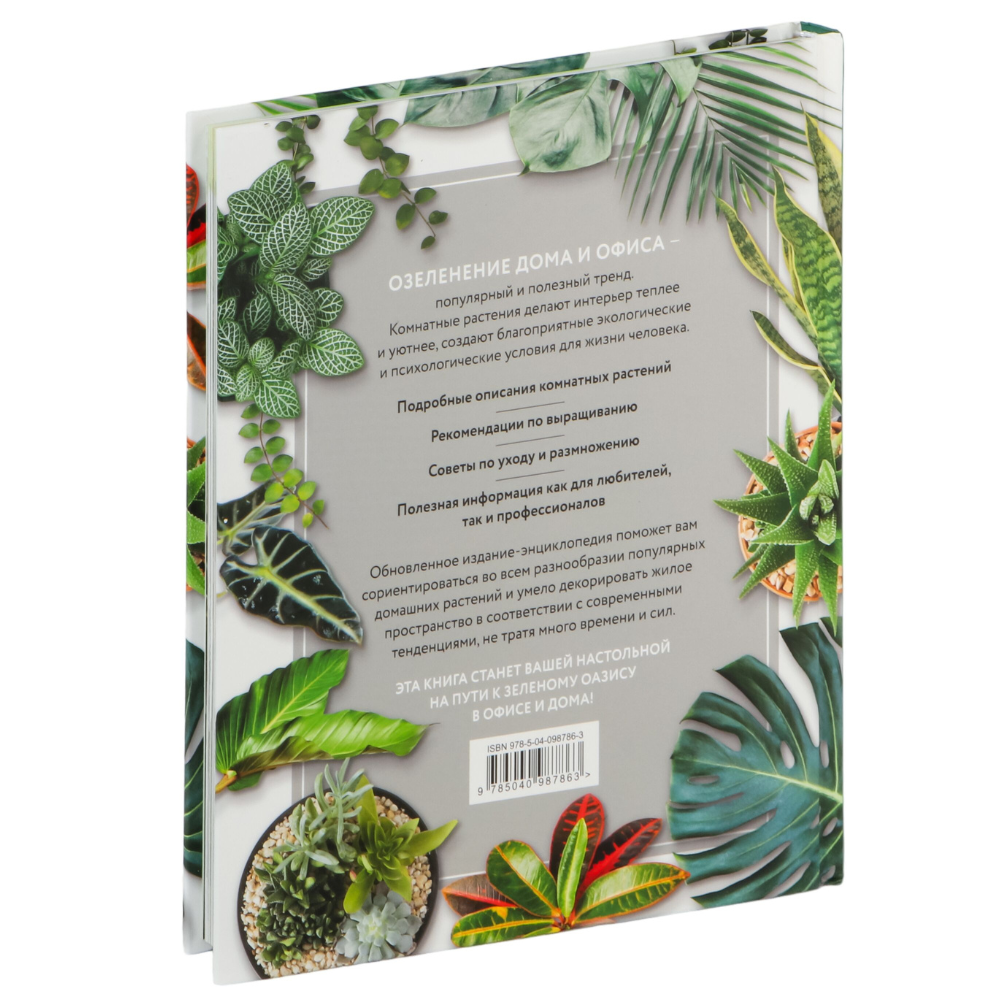 Дизайн без названия – 2025-12-10T125931.359