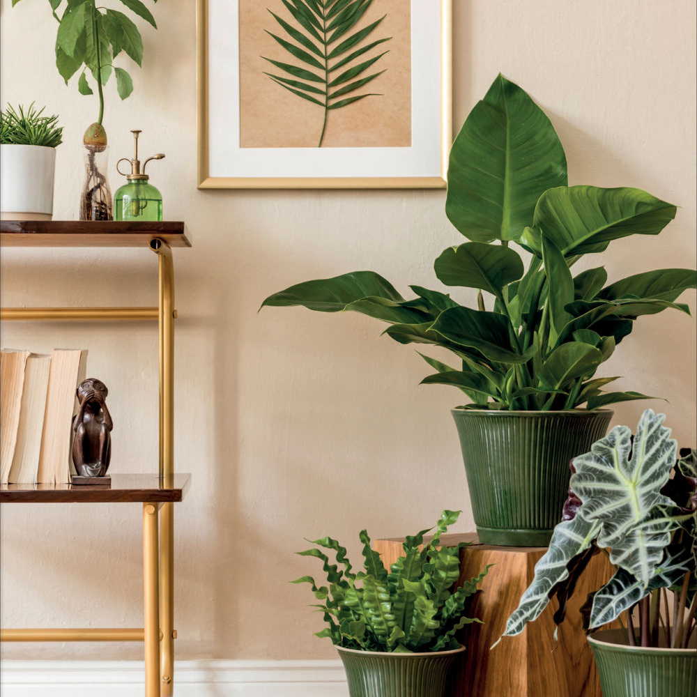 Дизайн без названия – 2025-12-10T133750.553