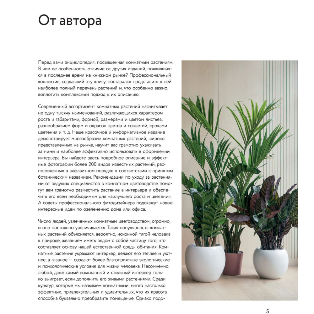 Дизайн без названия – 2025-12-10T133806.937