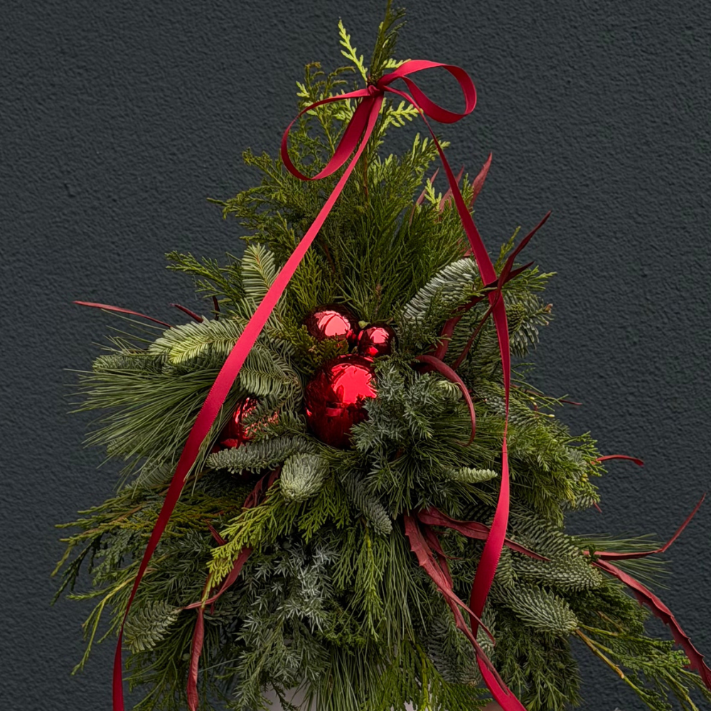 Дизайн без названия – 2025-12-17T150637.981