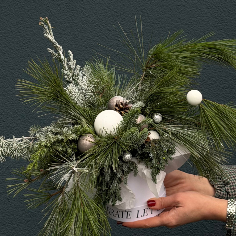 Дизайн без названия – 2025-12-17T150720.422