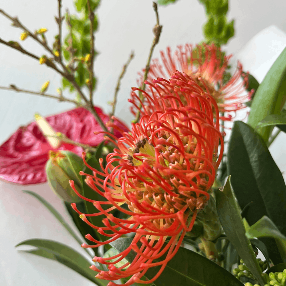 Дизайн без названия – 2026-01-14T170543.477 (1)