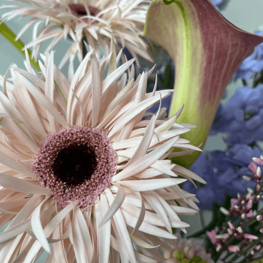 Дизайн без названия – 2026-01-14T170623.178 (1)