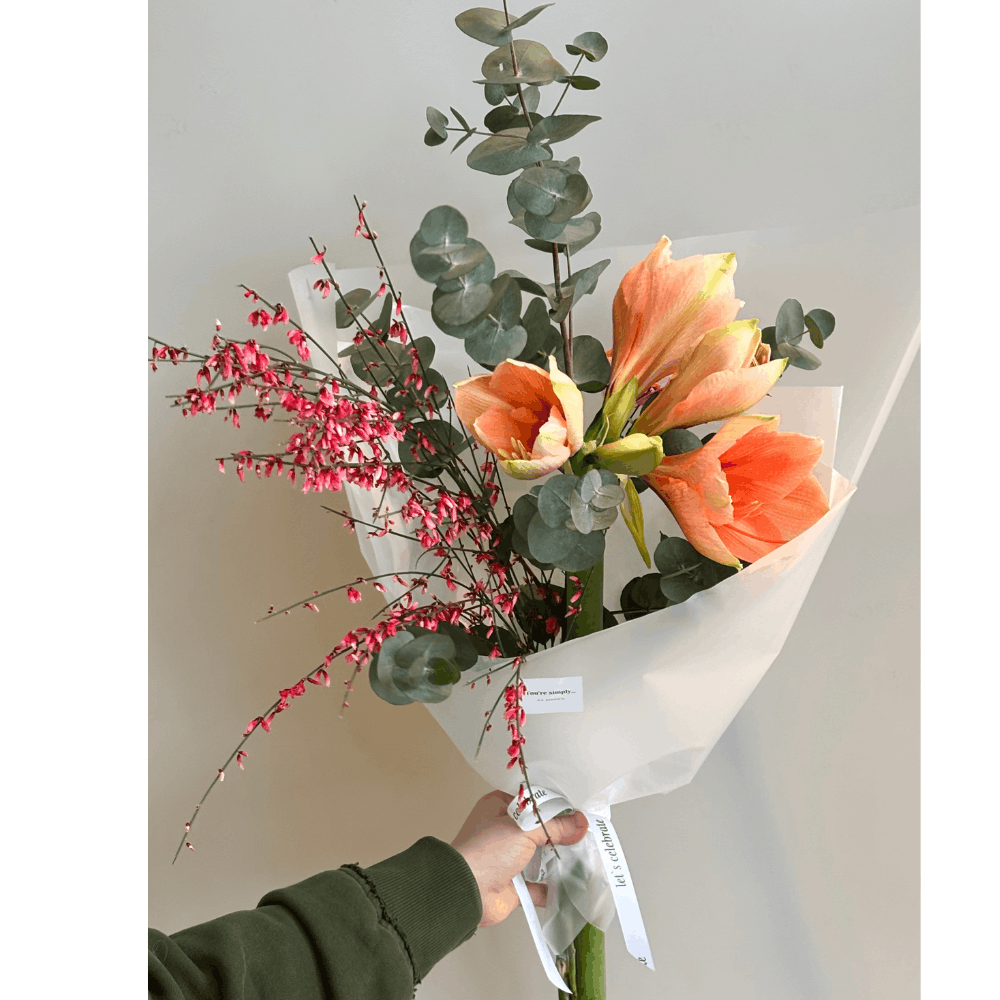 Дизайн без названия – 2026-01-23T121122.385 (1) Дизайн без названия – 2026-01-23T121122.385 (1)