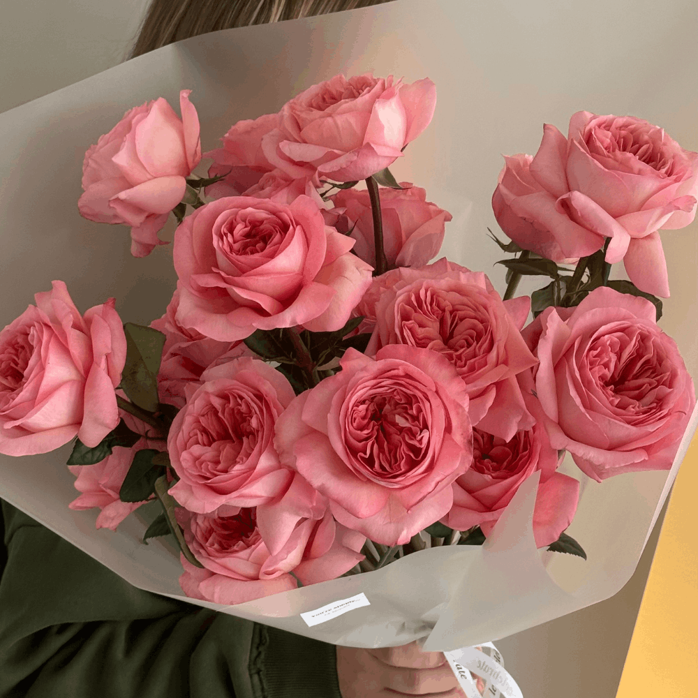 Дизайн без названия – 2026-01-23T143844.677 (1) Дизайн без названия – 2026-01-23T143844.677 (1)