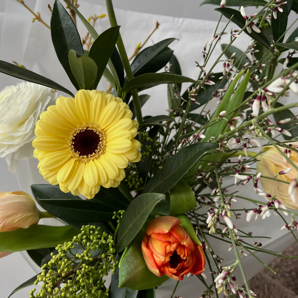 Дизайн без названия – 2026-01-29T161547.035 Дизайн без названия – 2026-01-29T161547.035