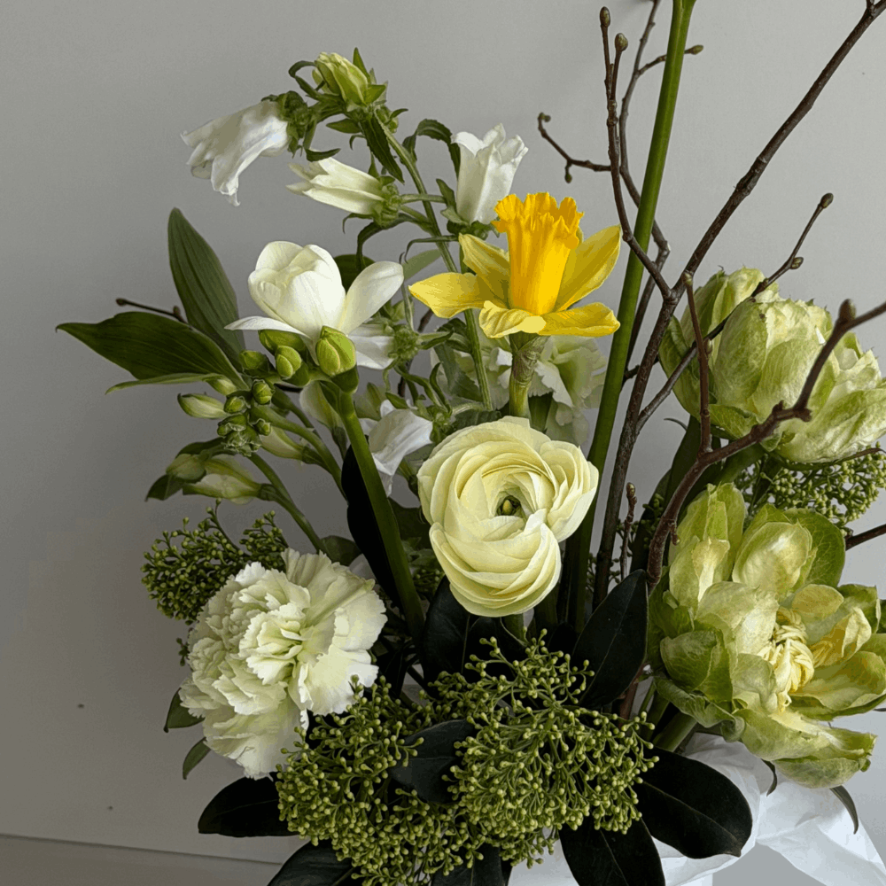 Дизайн без названия – 2026-02-06T104524.857 (1)