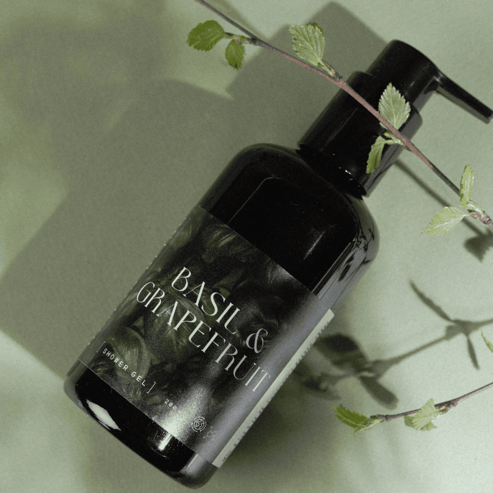 Дизайн без названия – 2026-02-16T113744.143 (1)