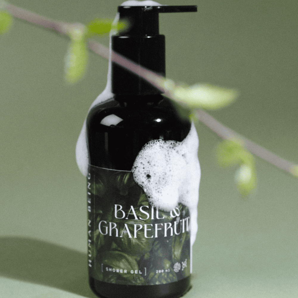 Дизайн без названия – 2026-02-16T113907.783 (1)