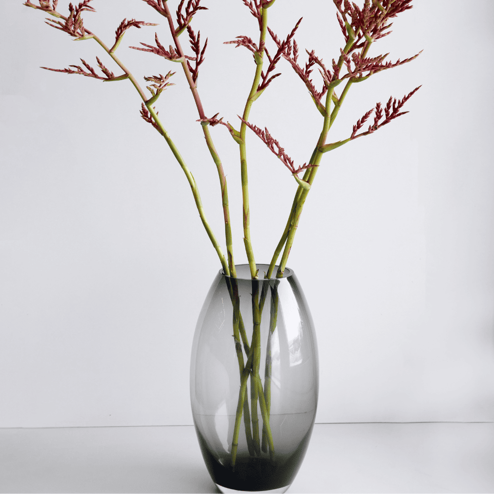 Дизайн без названия – 2026-02-17T100924.459 (1)