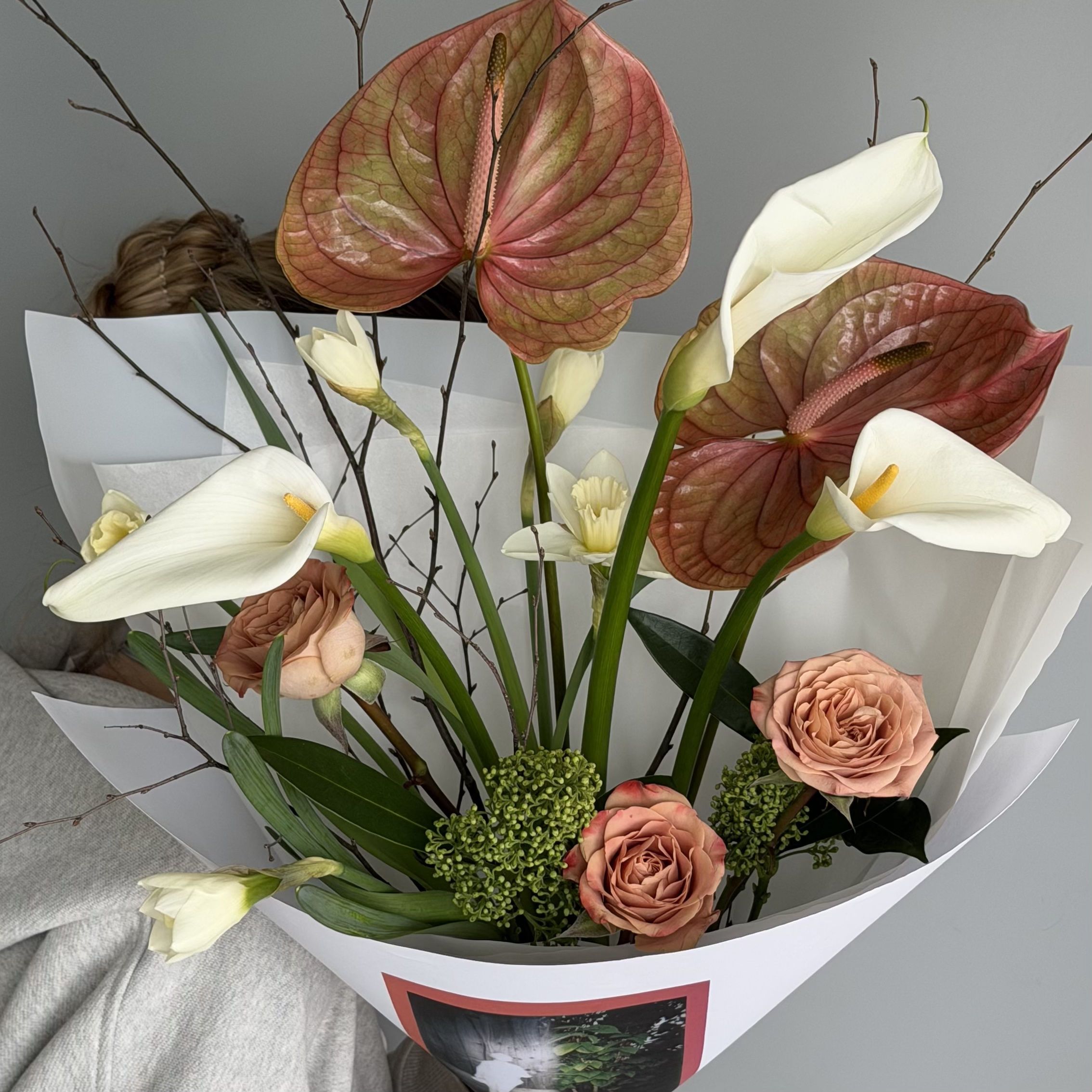 IMG_7779 (2) IMG_7779 (2)