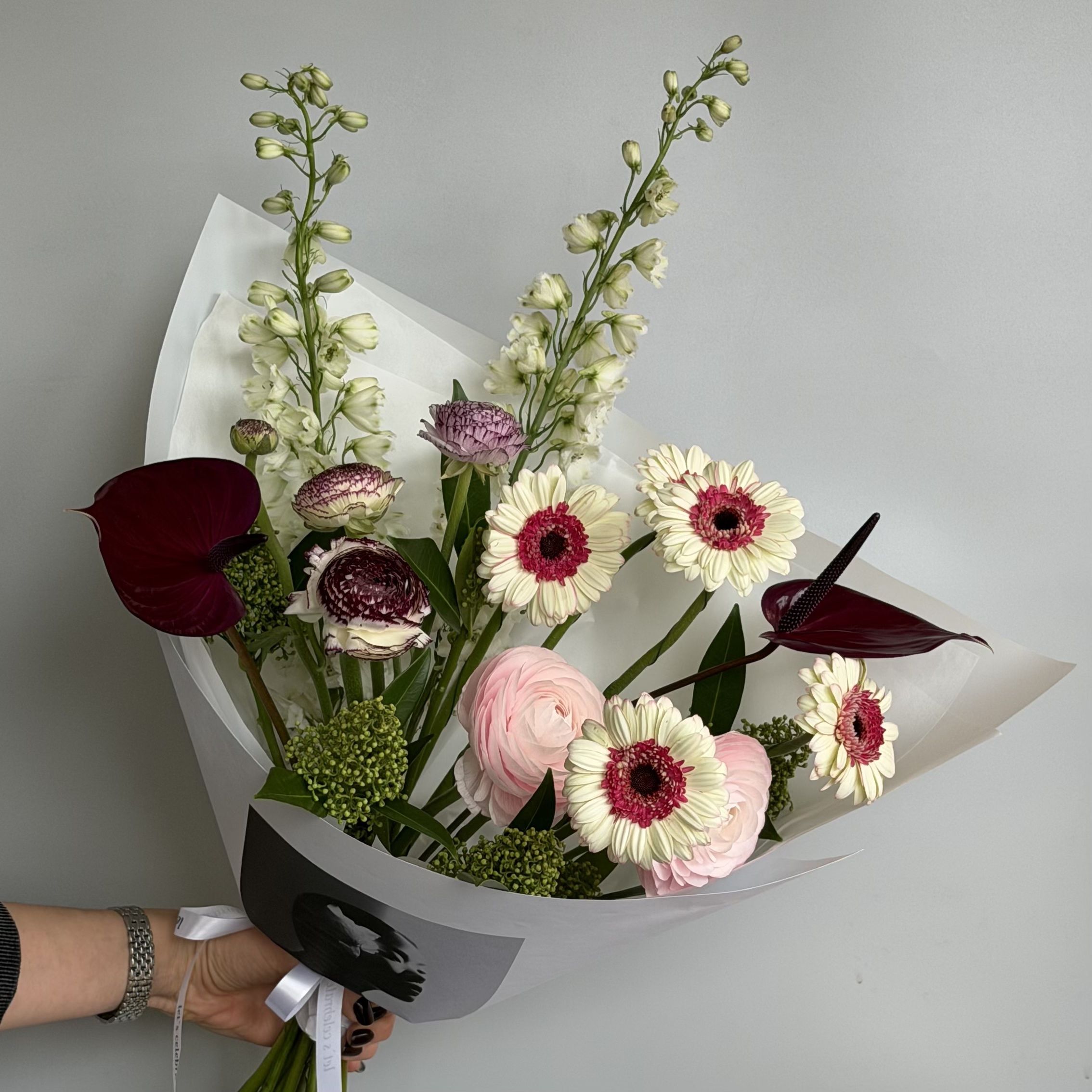 IMG_7786 (2) IMG_7786 (2)