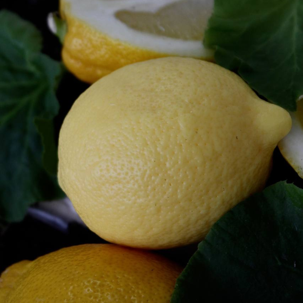 Дизайн без названия – 2026-03-06T101016.131