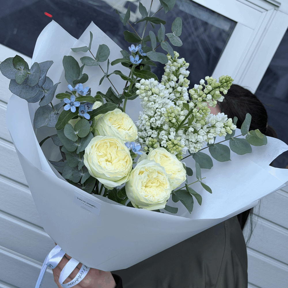 Дизайн без названия – 2026-03-19T160259.045