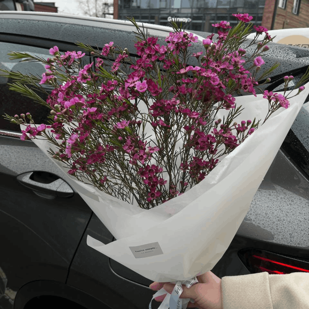 Дизайн без названия – 2026-03-20T182906.479 (1)