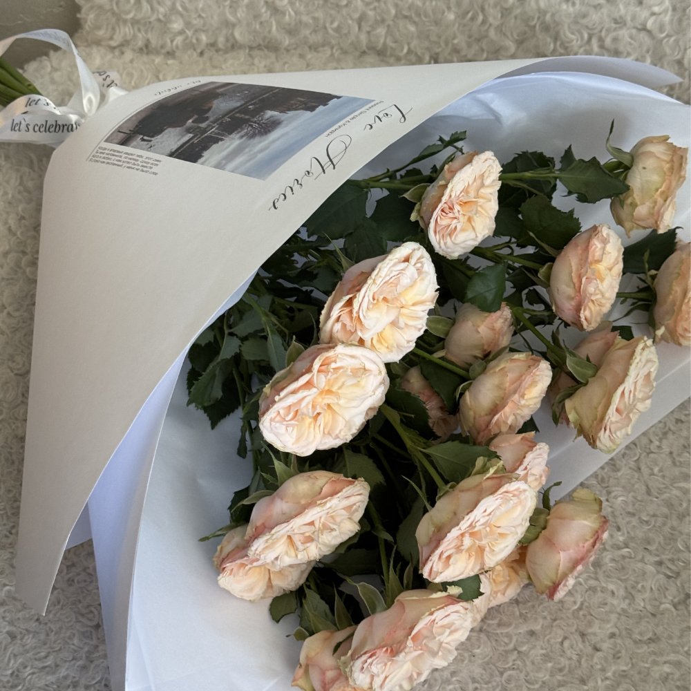 Дизайн без названия – 2026-04-19T095308.435