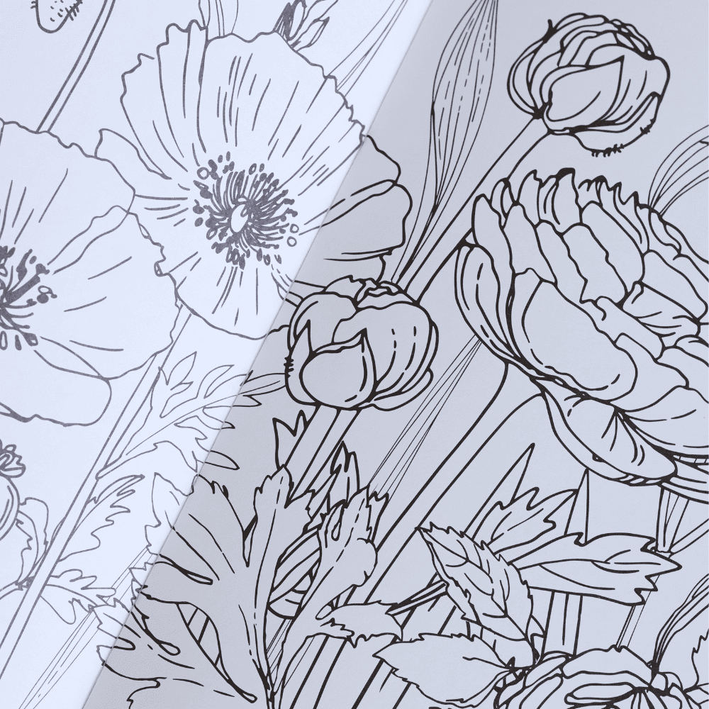 Дизайн без названия – 2026-04-22T153623.535 (1)