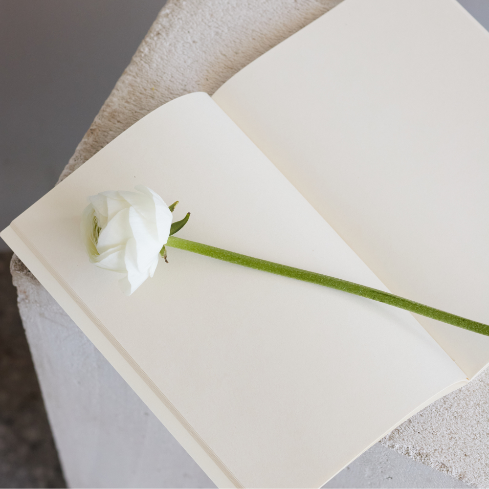 Дизайн без названия – 2026-04-22T162316.023