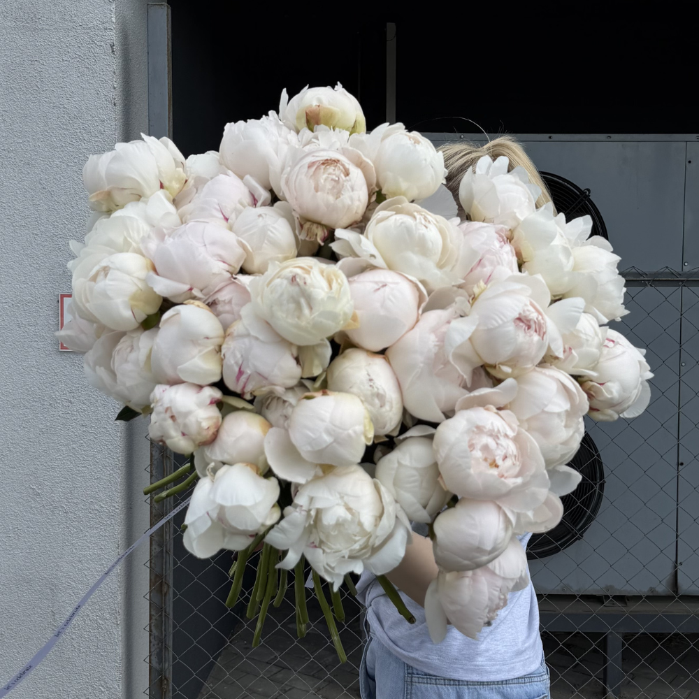 Дизайн без названия – 2026-05-22T165147.122
