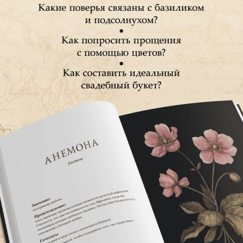 Дизайн без названия – 2026-08-12T123320.226 (1)
