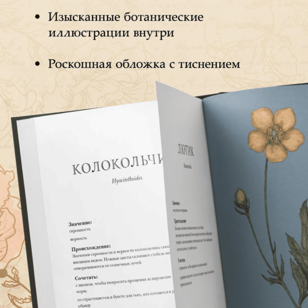 Дизайн без названия – 2026-08-12T123350.491 (1)