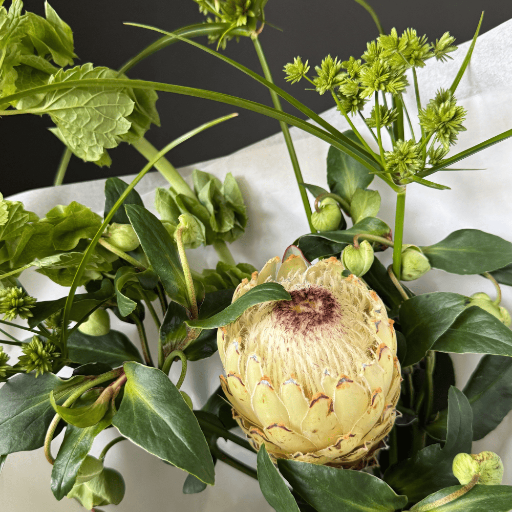 Дизайн без названия-294 Дизайн без названия-294
